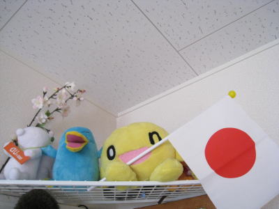 20100429.jpg