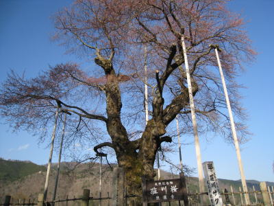 20100503_01.jpg